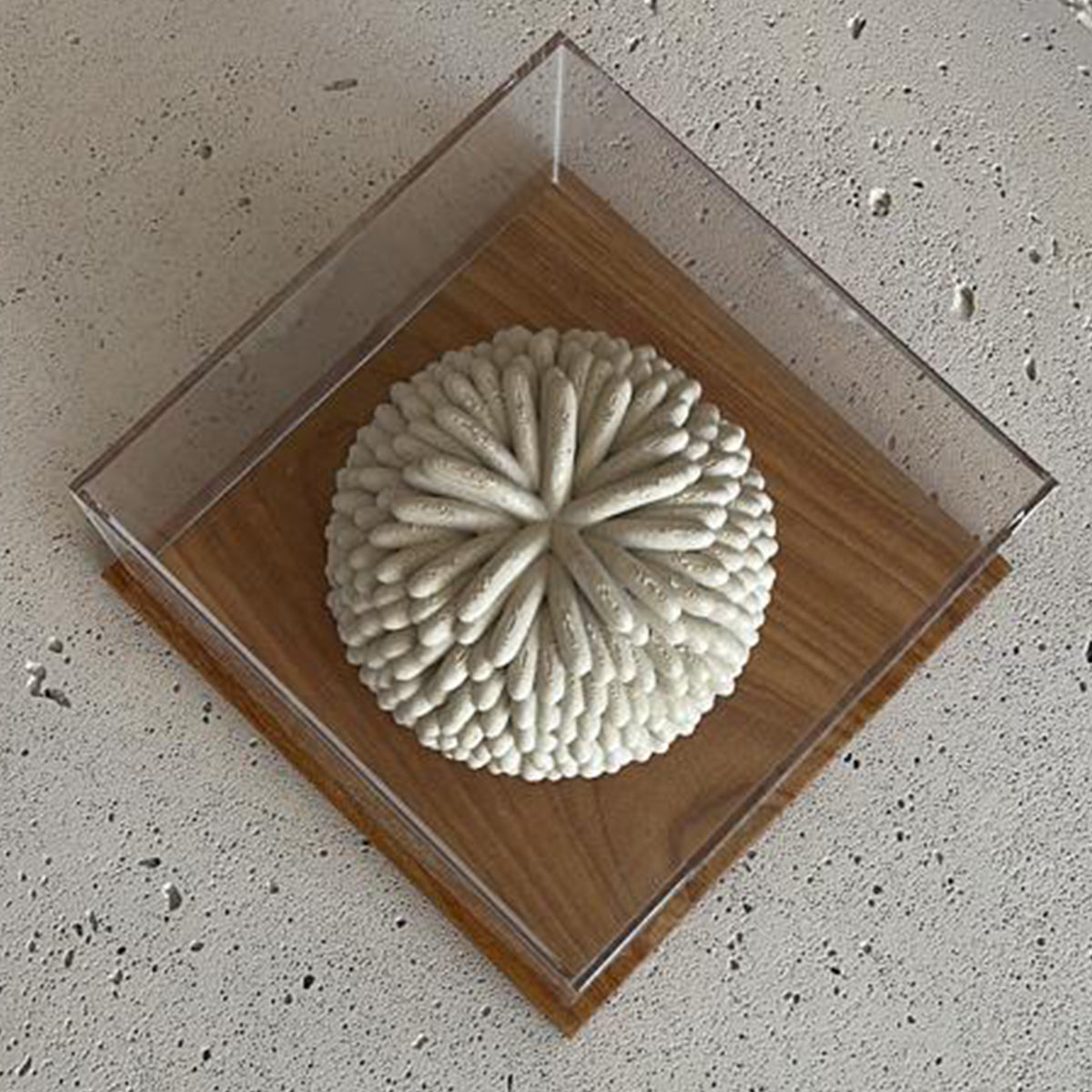 { fluffy } light sandstone