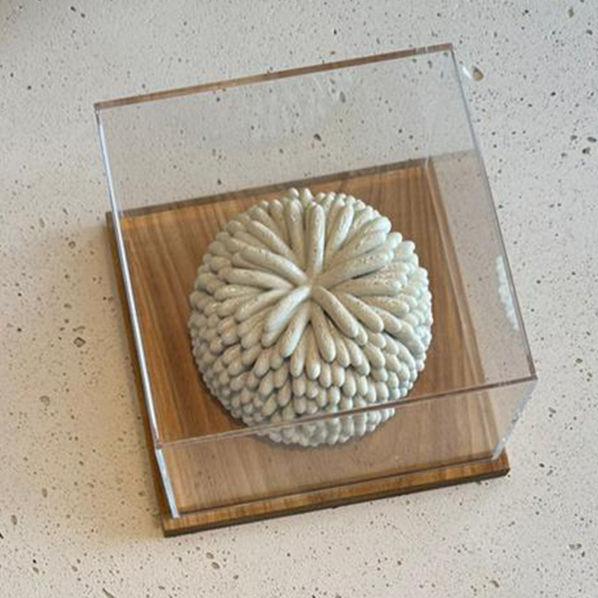 { fluffy } light sandstone