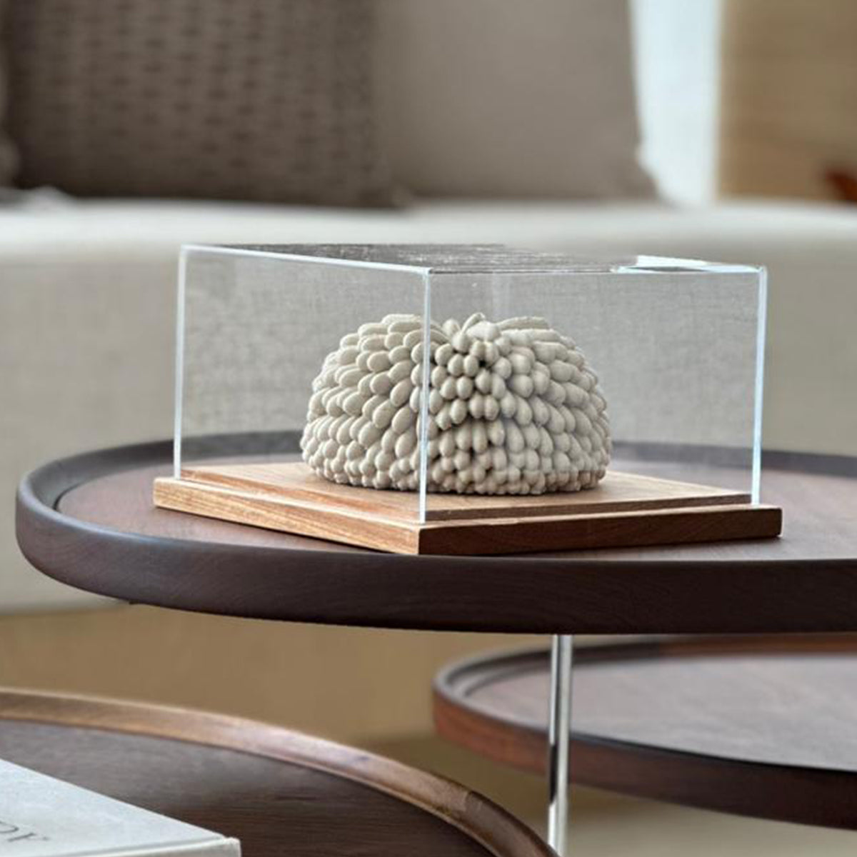 { fluffy } light sandstone