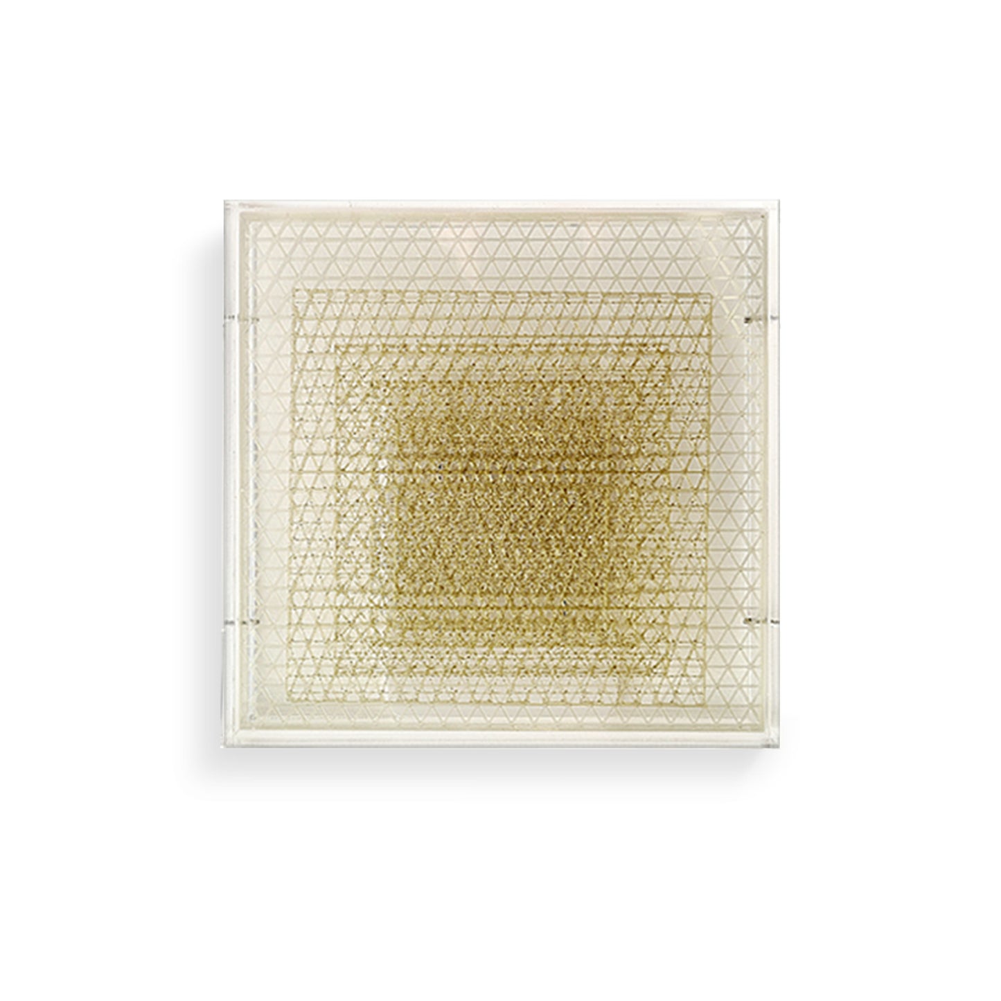 { paglia } 46G gold