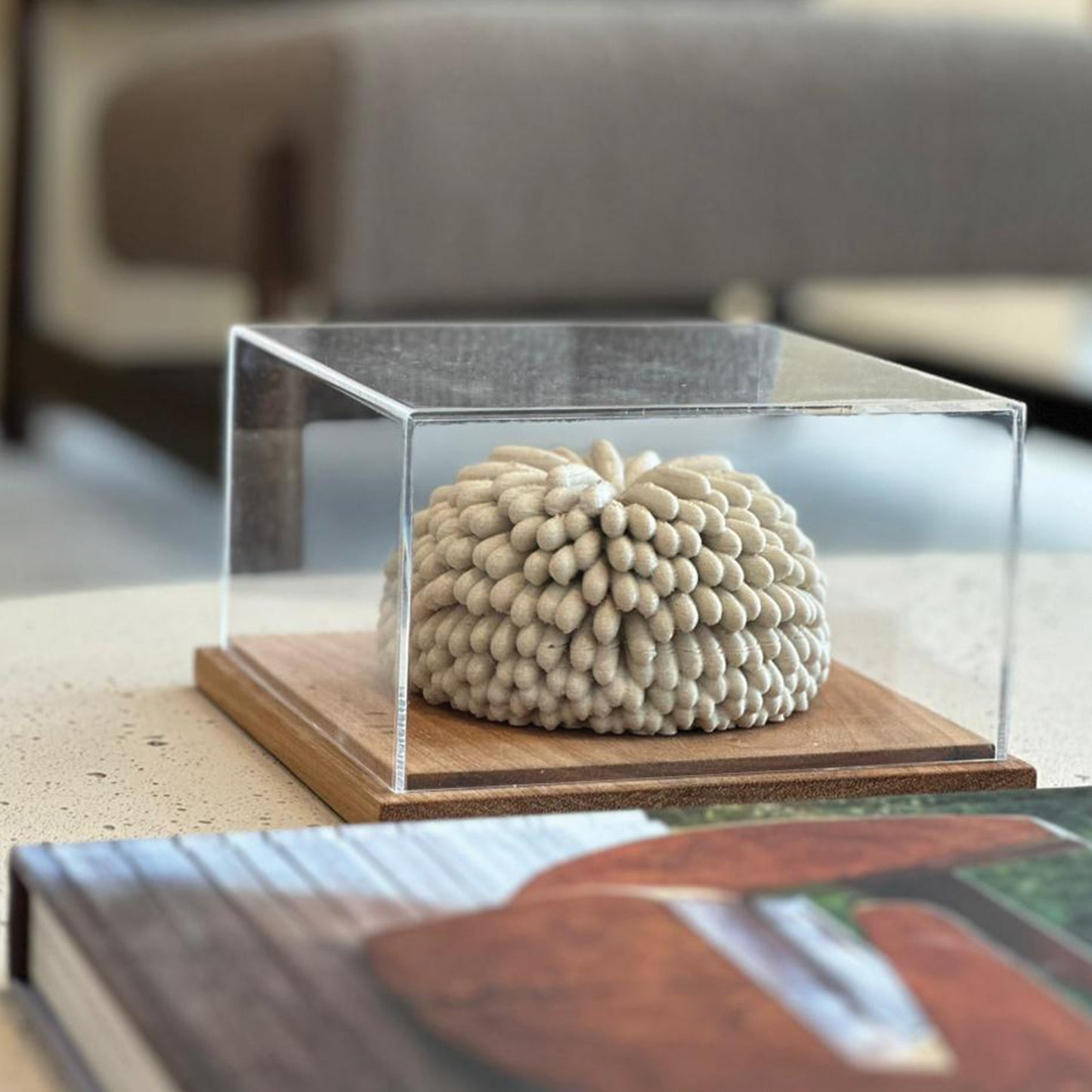 { fluffy } light sandstone