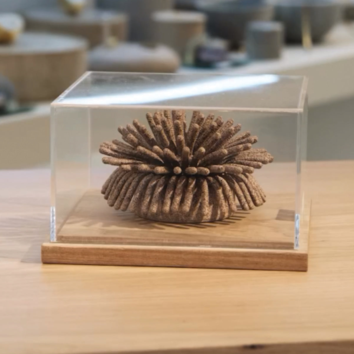 { fluffy } one clay